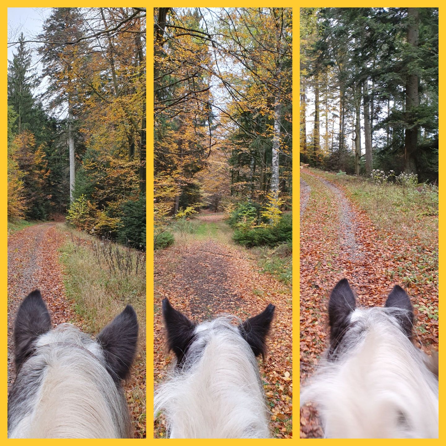 2023 11 November 587